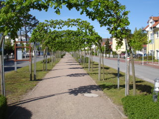 Die Strandstrasse in Baabe